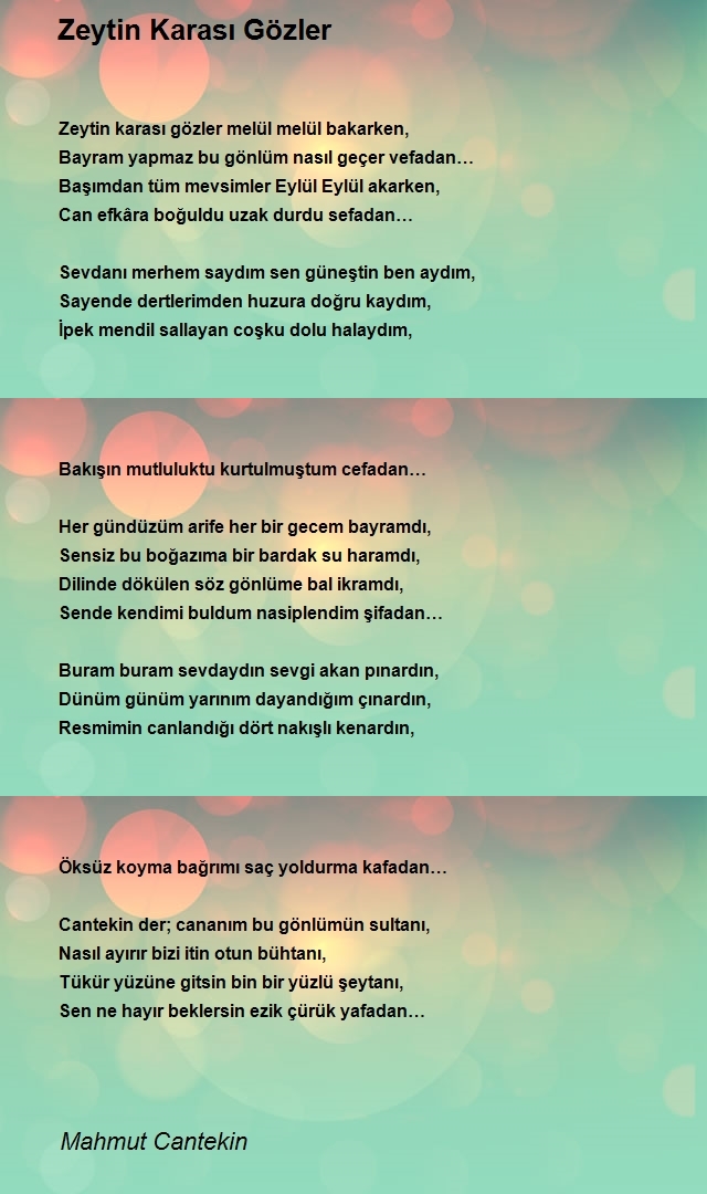Mahmut Cantekin