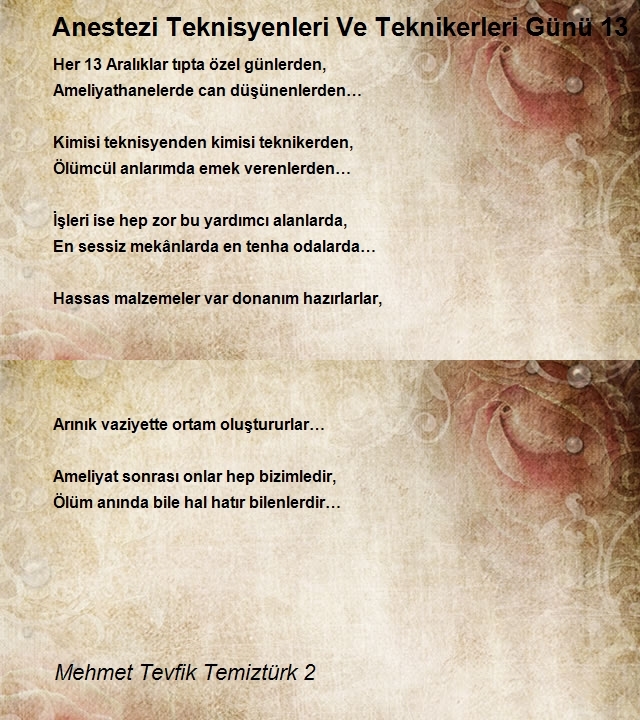 Mehmet Tevfik Temiztürk 2