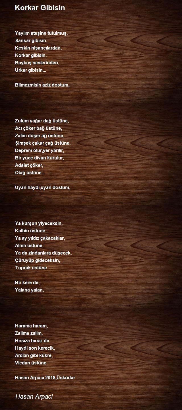 Hasan Arpaci