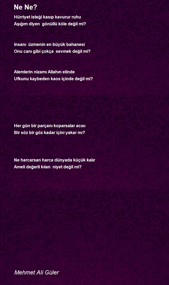Mehmet Ali Güler