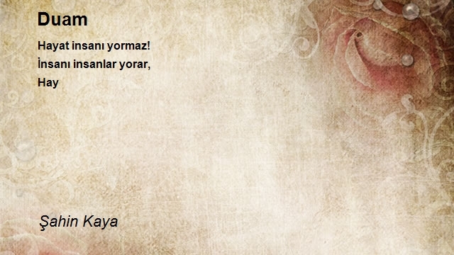 Şahin Kaya