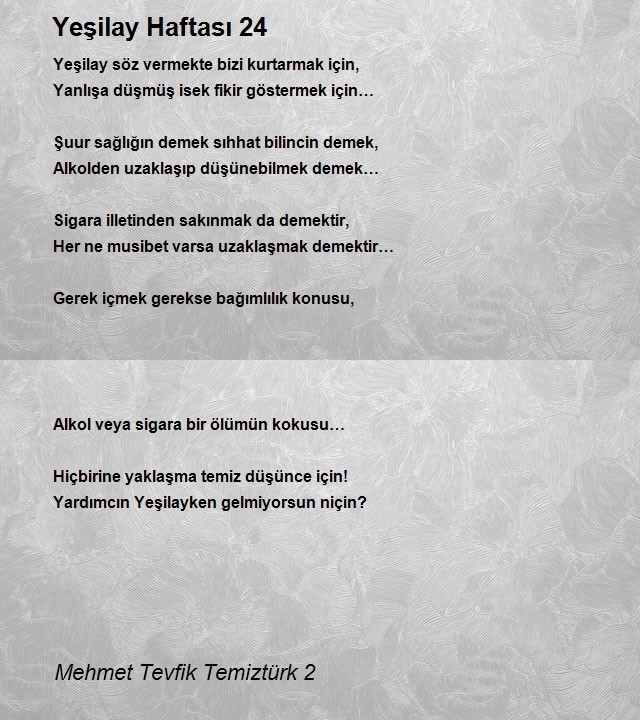 Mehmet Tevfik Temiztürk 2
