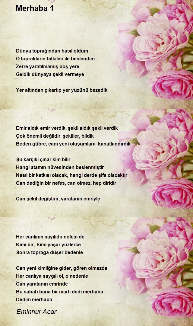Eminnur Acar