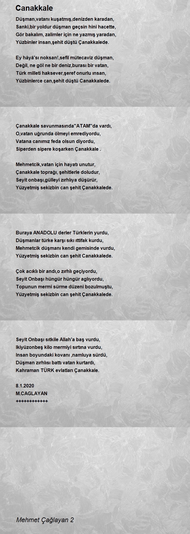 Mehmet Çağlayan 2