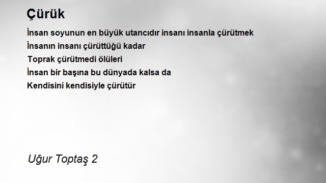 Uğur Toptaş 2
