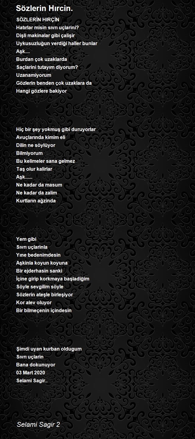 Selami Sagir 2
