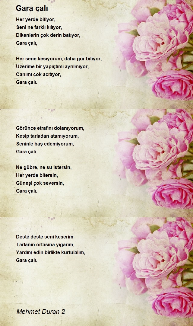 Mehmet Duran 2