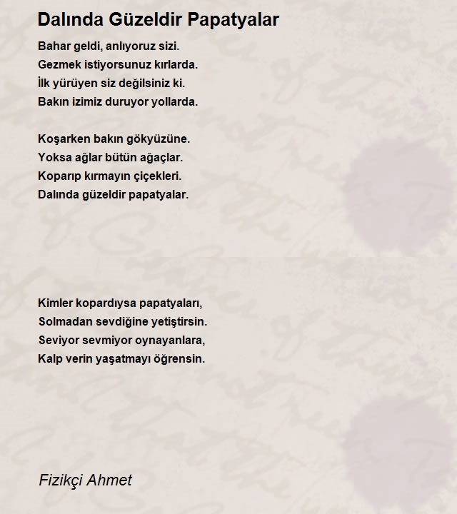 Fizikçi Ahmet