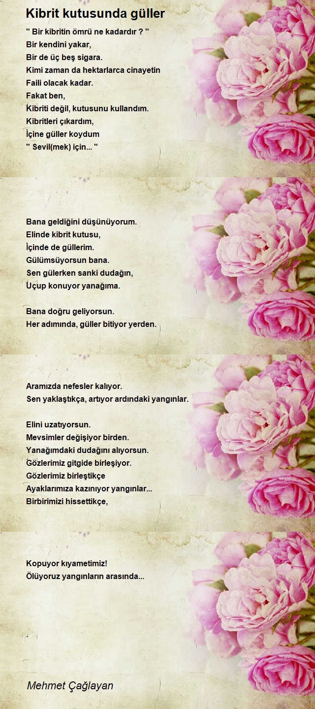 Mehmet Çağlayan