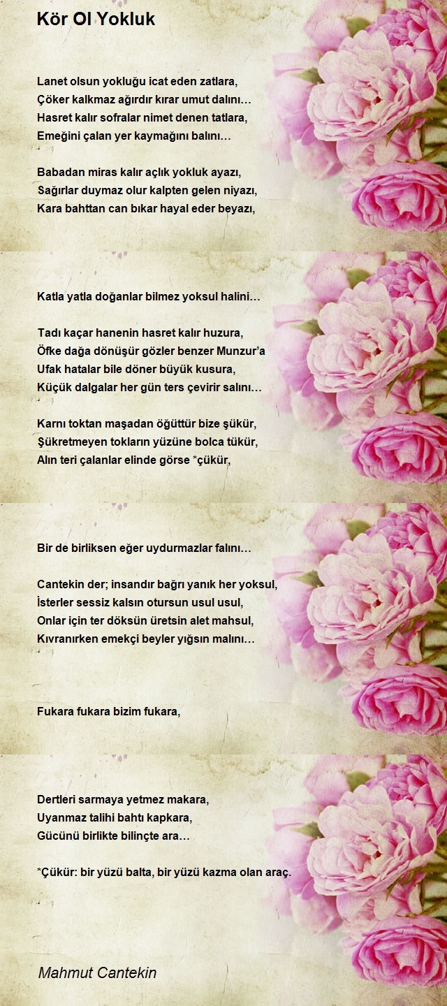 Mahmut Cantekin