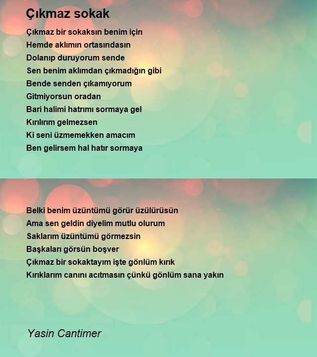 Yasin Cantimer