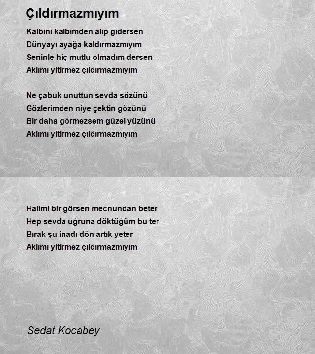 Sedat Kocabey