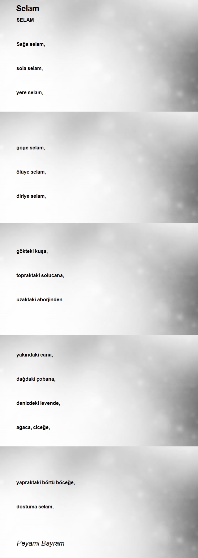 Peyami Bayram