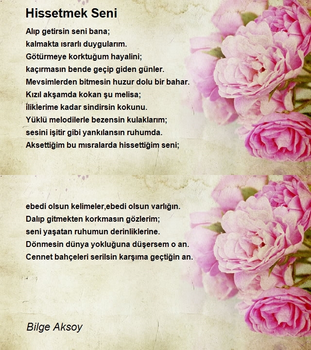 Bilge Aksoy
