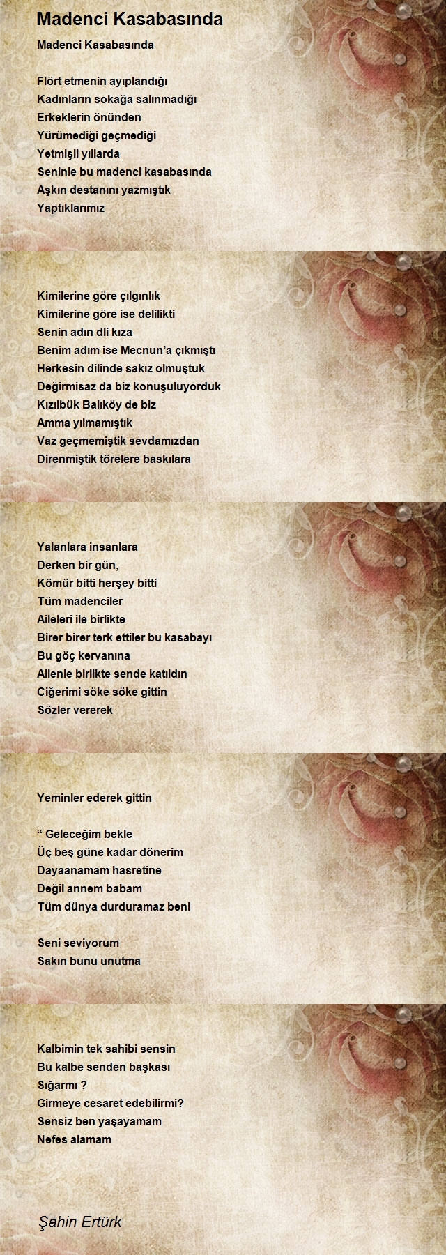 Şahin Ertürk
