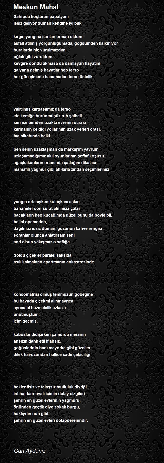 Can Aydeniz
