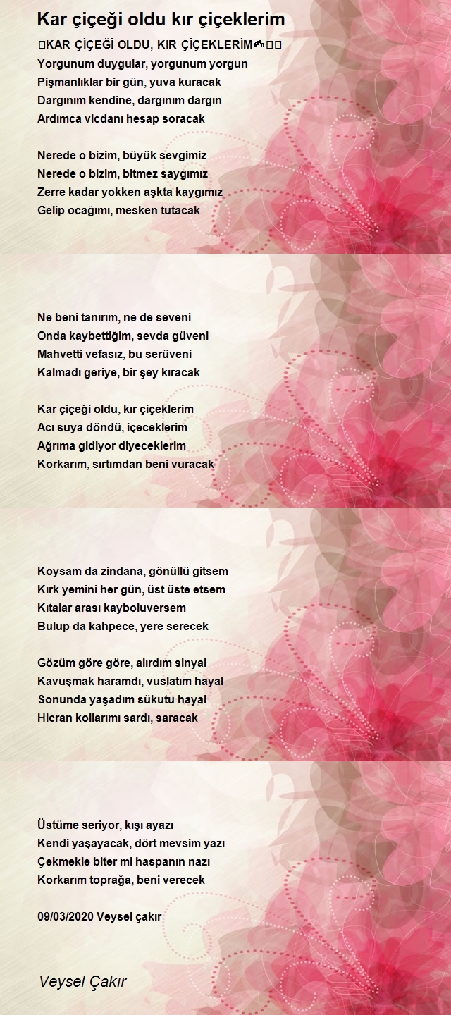 Veysel Çakır