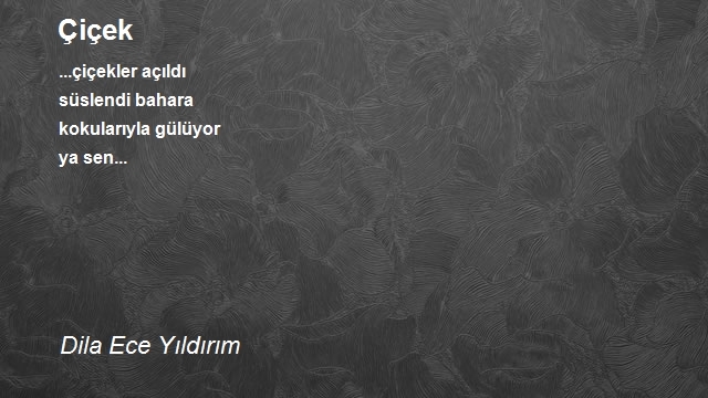 Aşk Aşkın Şehri Ordu