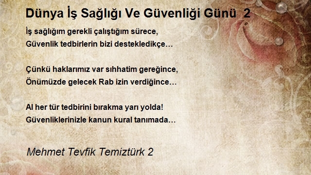 Mehmet Tevfik Temiztürk 2