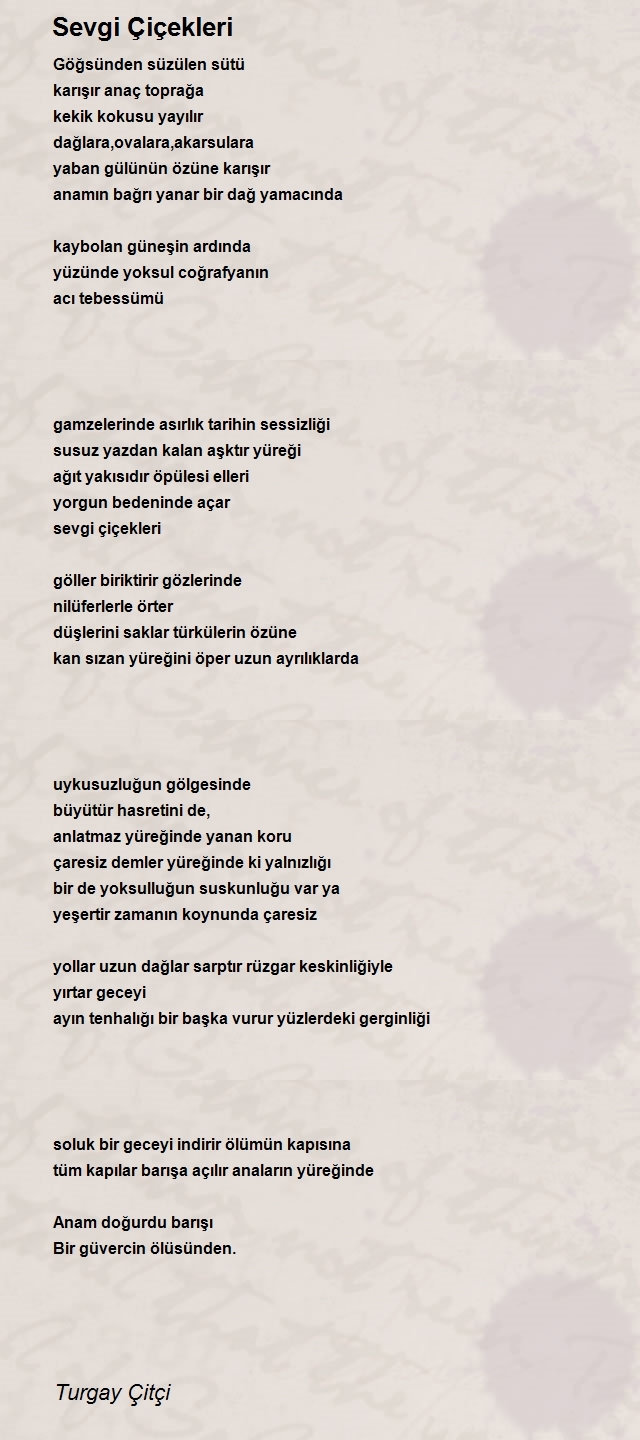 Turgay Çitçi
