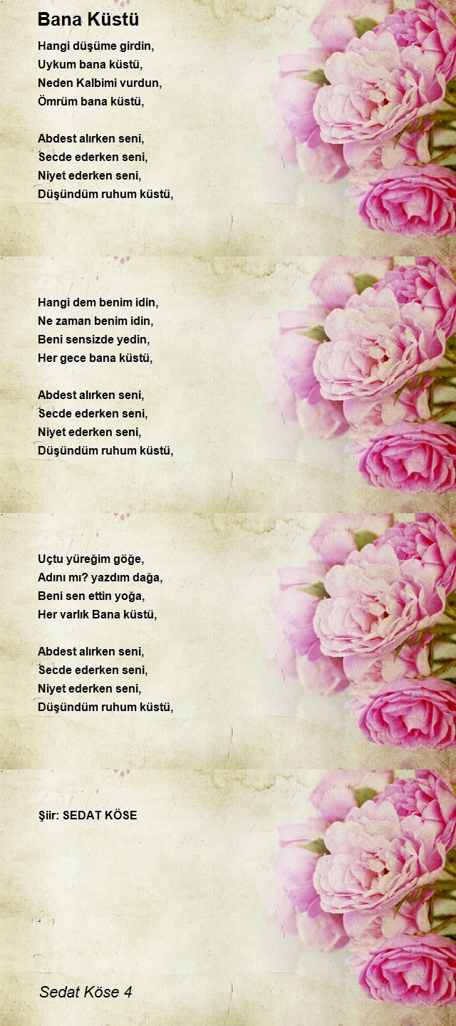 Sedat Köse 4