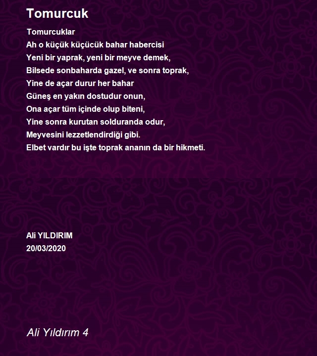 Ali Yıldırım 4