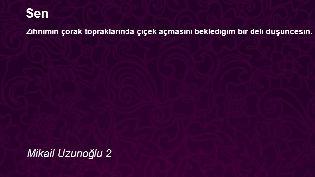 Mikail Uzunoğlu 2
