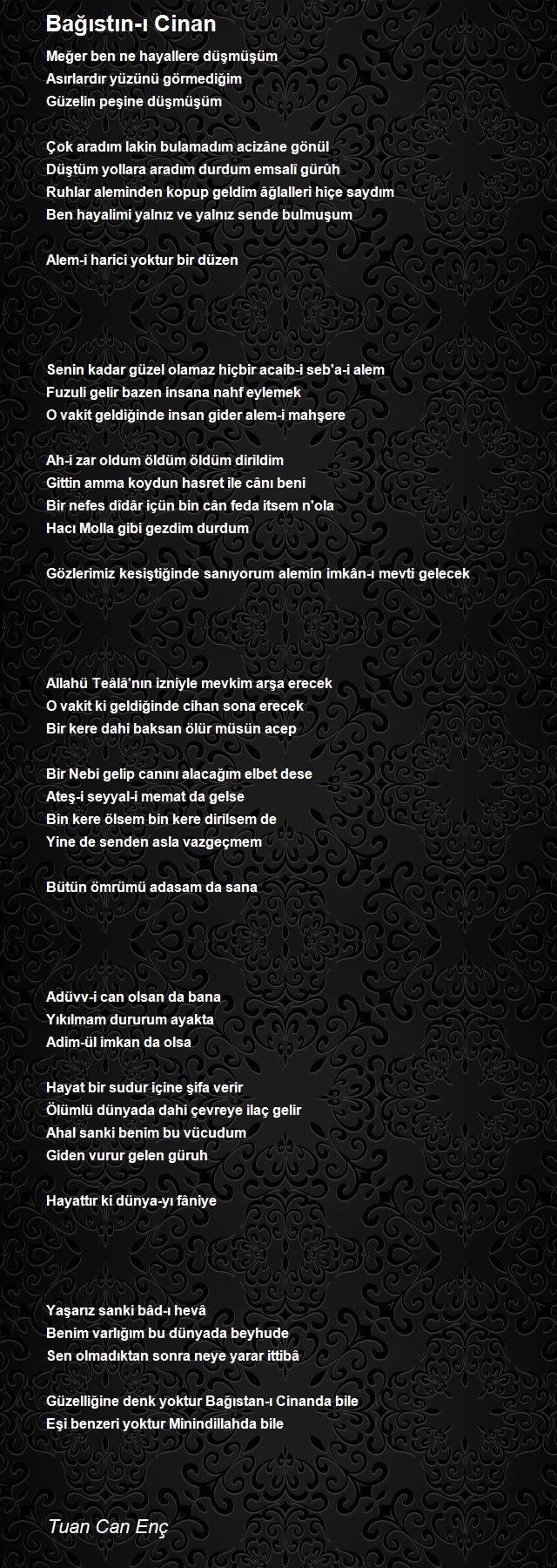 Tuan Can Enç