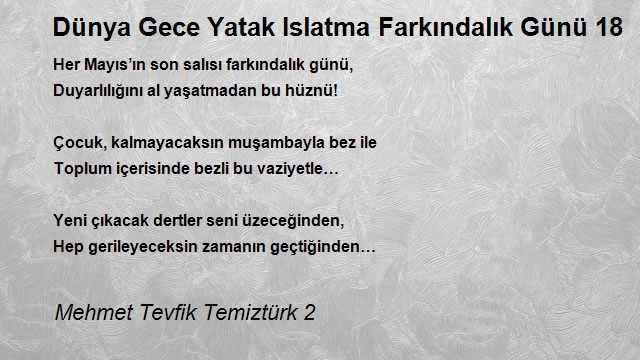 Mehmet Tevfik Temiztürk 2