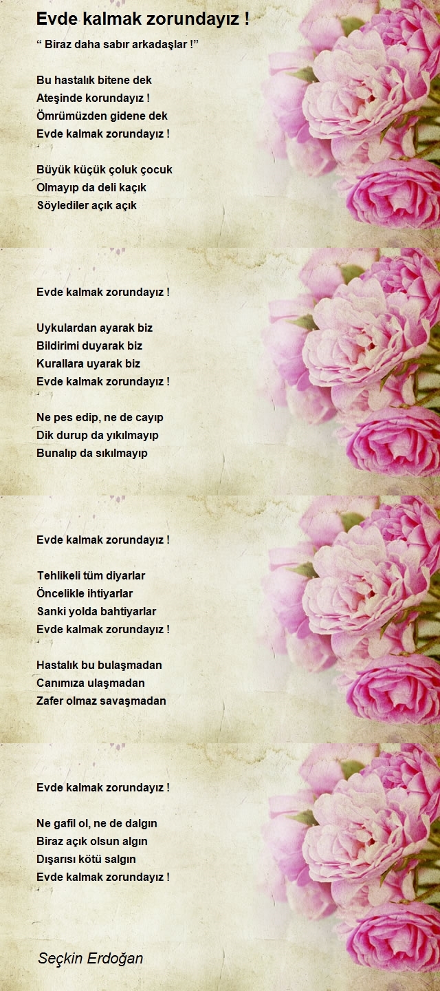 Seçkin Erdoğan