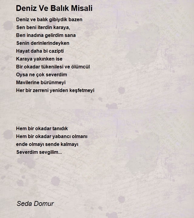 Seda Domur