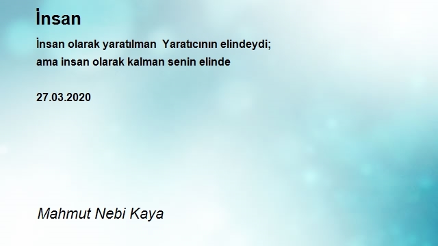 Mahmut Nebi Kaya