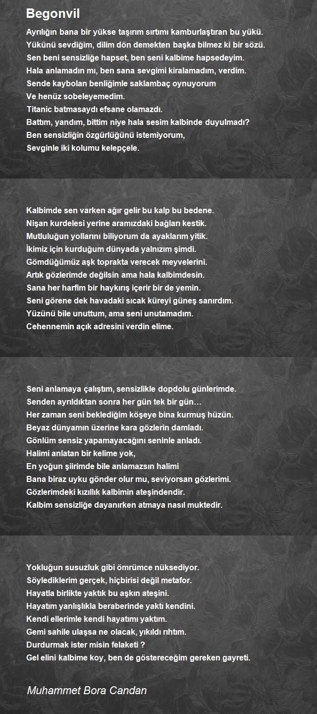 Muhammet Candan