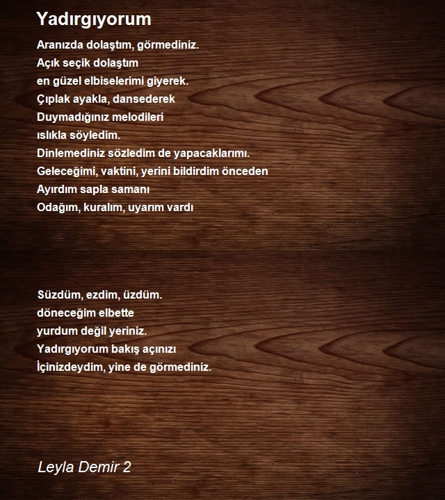 Leyla Demir 2