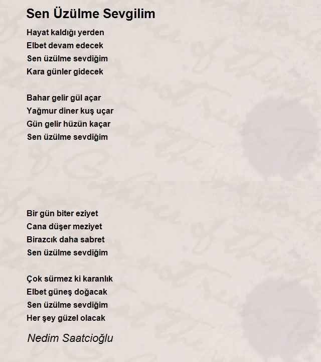 Nedim Saatcioğlu