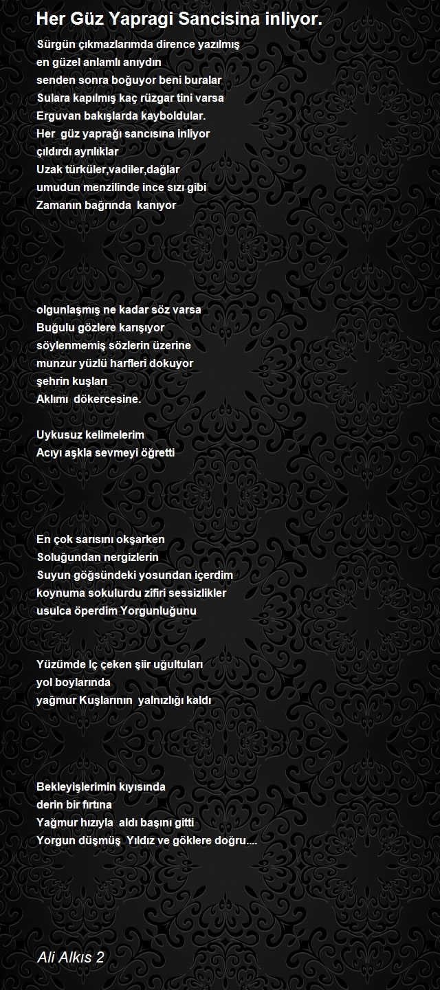 Ali Alkıs 2