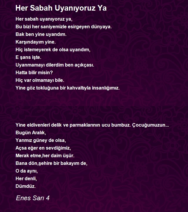 Enes Sarı 4