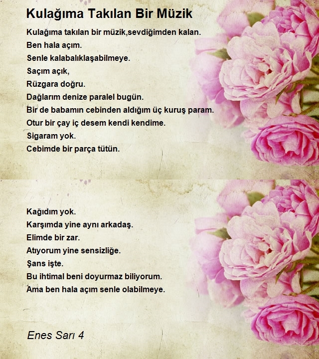 Enes Sarı 4