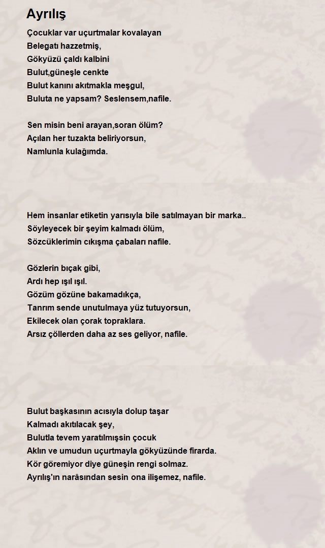 İbrahim Yılmaz 6