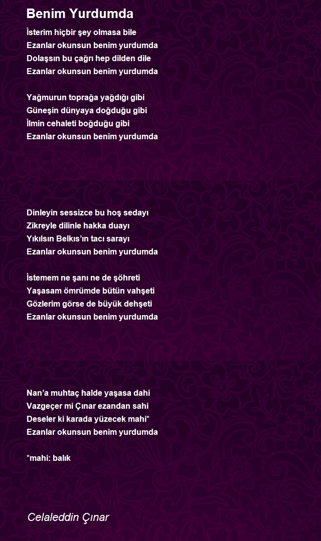 Celaleddin Çınar