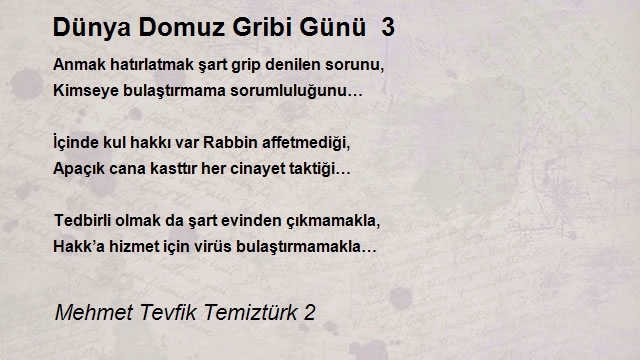 Mehmet Tevfik Temiztürk 2