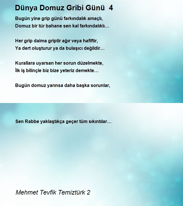 Mehmet Tevfik Temiztürk 2
