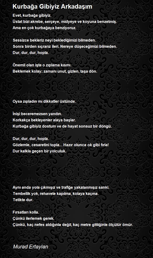 Murad Ertaylan