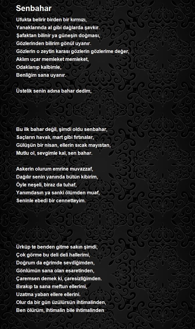 Hüseyin Polat 2