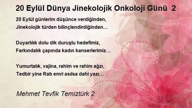 Mehmet Tevfik Temiztürk 2