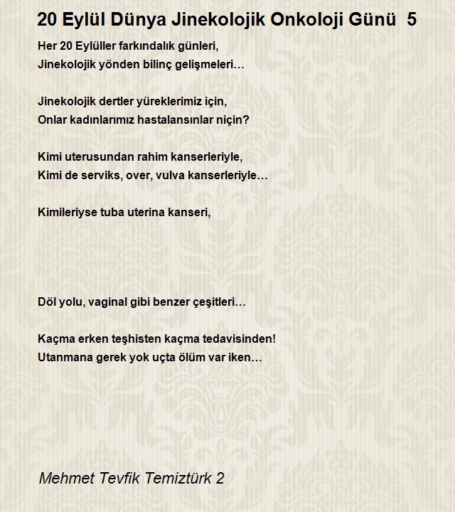 Mehmet Tevfik Temiztürk 2
