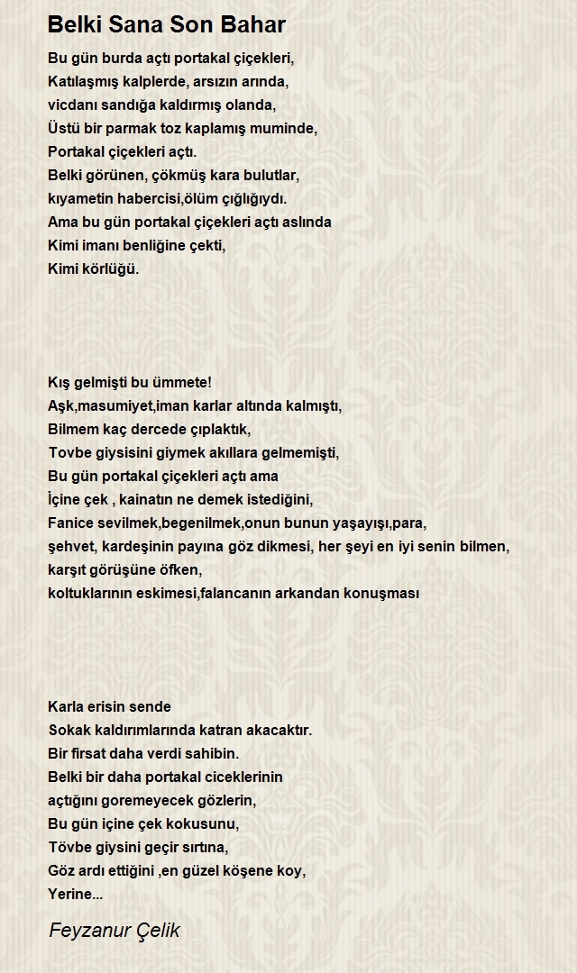 Feyzanur Çelik
