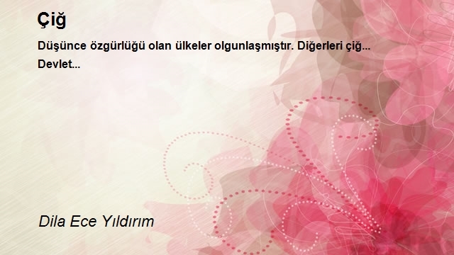 Aşk Aşkın Şehri Ordu