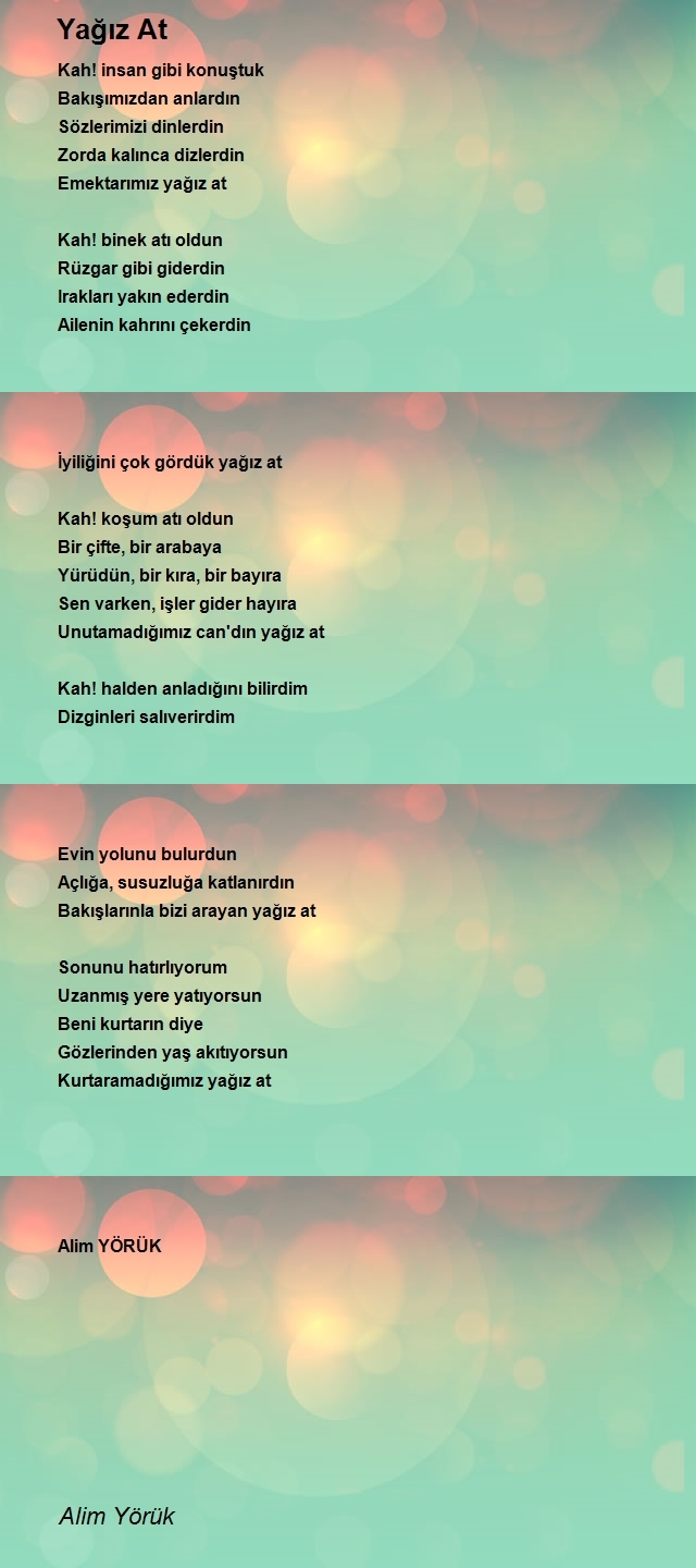 Alim Yörük