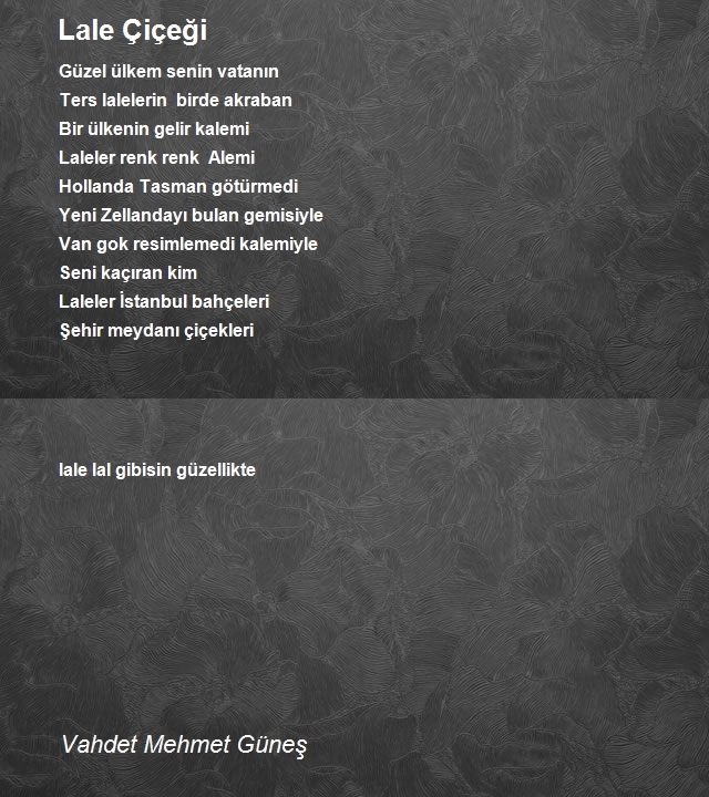 Vahdet Mehmet Güneş